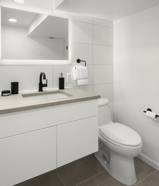 Vanity, Toilet Vanity, Toilet